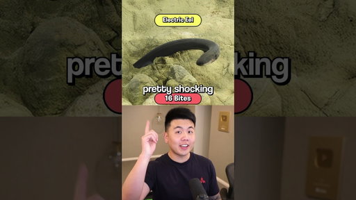 How Many Bites Will KILL You? 5