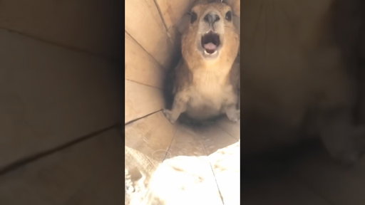 I Built His House And He’s Still Screaming At Me! 😡🤯