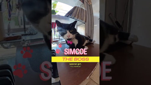 Meet Simcoe in East Williamsburg