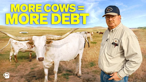 How America broke its beef industry