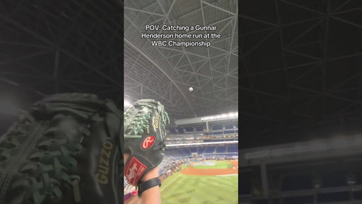 POV: Catching a home run at the WBC! 🇺🇸⚾️