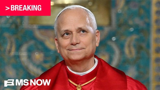 BREAKING: Pope Leo XIV diagnosed with lung cancer
