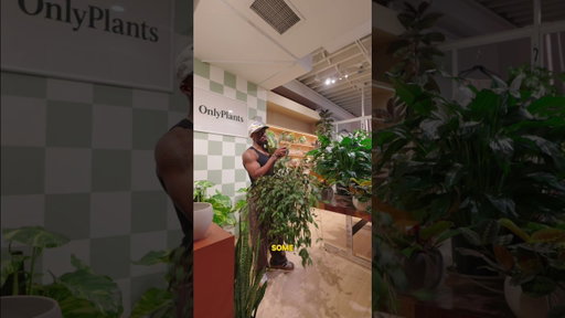 Is this true or false?? #plants #plantparent