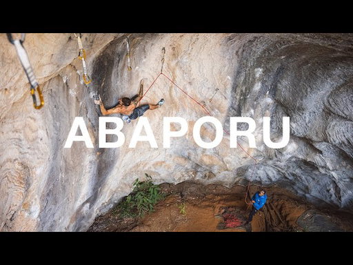 Abaporu | The North Face