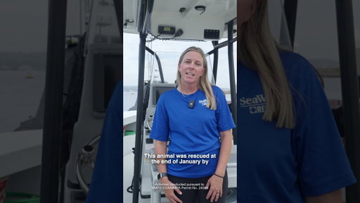 13 returns from SeaWorld San Diego Rescue Team