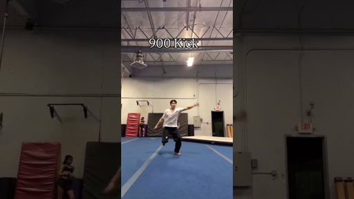 What 3240 Degrees of Kicks Look Like!