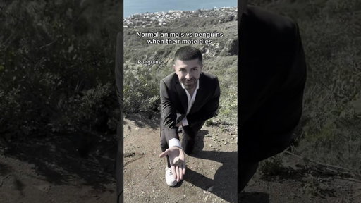 Normal animals vs penguins when their mate dies. #shorts #skit #funny