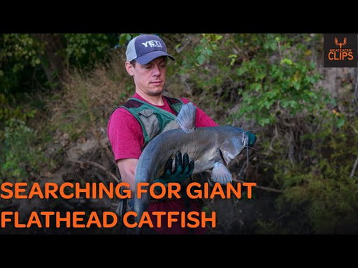 Setting Limb Lines for Flathead | MeatEater Clips