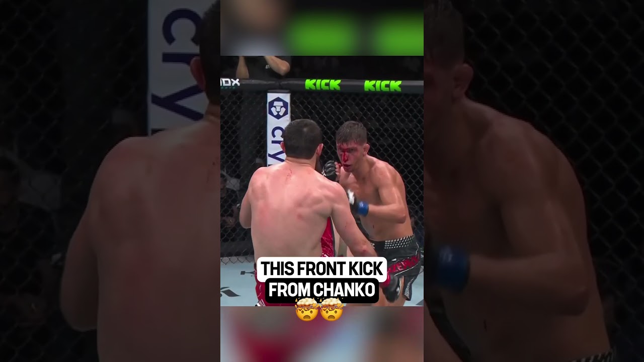 This front kick from Magomed 'Chanko' Zaynukov during his UFC debut 😬🤯 #ufc #ufcabudhabi