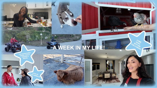 week in my life: calabasas edition⋆˚꩜｡