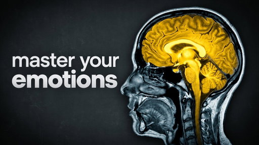Your Feelings Aren't Reactions. They're Predictions.
