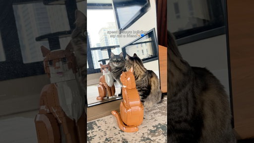 Make This For Your Cat 💙