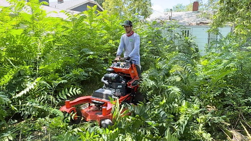 The Neighbors Were FED UP With This Yard — and I Found Out Why