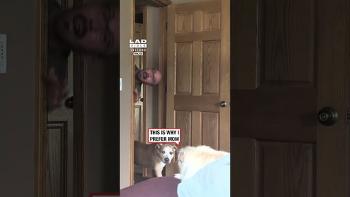 My Dog Has Had Enough of Dad 😂