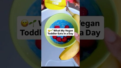 What My Vegan Toddler Eats in a Day - Ep 12 🌱
