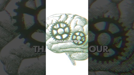 You absolutely can grow new brain cells, even after a "certain age"!