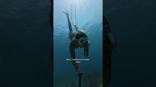 My heart was RACING at the end 😳😱😅#okinawa #freediving #seasnakes #okinawajapan #divingadventure