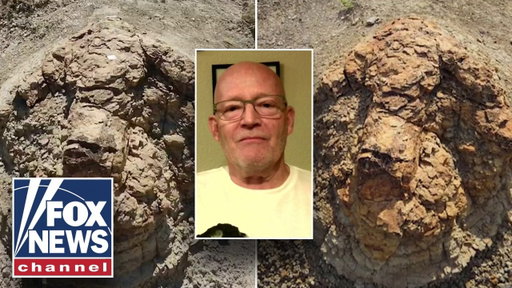 High school teacher makes HISTORIC T. rex discovery