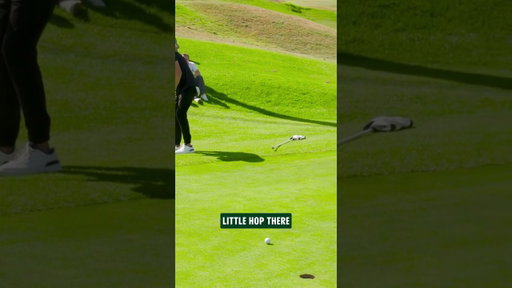 showing us that he does indeed know how to putt