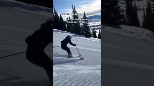 Which type of skier are you?