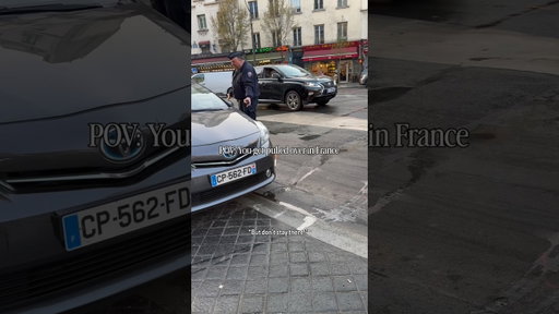 POV You Get Pulled Over In France. #france #police #funny #frenchpolice