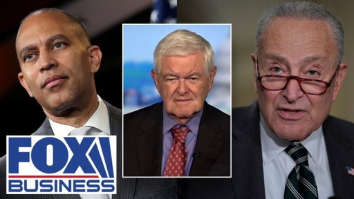 Schumer, Jeffries walked themselves into a 'TOTAL TRAP': Newt Gingrich