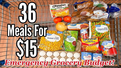 36 MEALS FOR $15 | Easy, Cheap & FILLING Recipes for an Emergency Grocery Budget