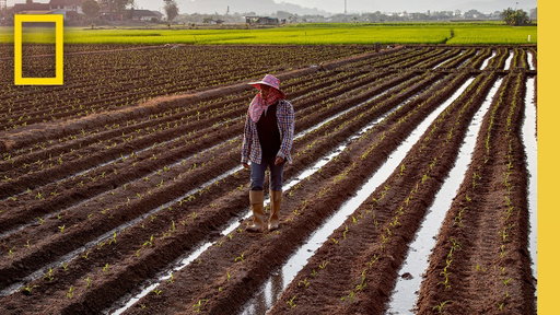 Regeneration in Action | Farming Preservation in Thailand | National Geographic
