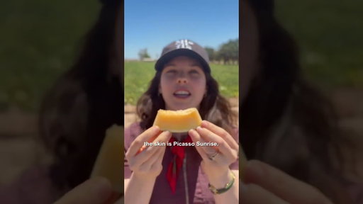 Forget Watermelon. Meet the Rare Melons Hitting Your Box.