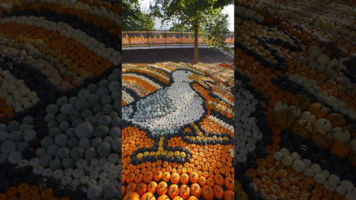 Pumpkin Hollow 2026