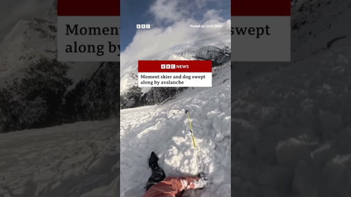 Skier and dog swept along by avalanche in Andorra. #Andorra #Skiing #BBCNews