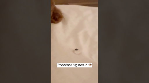 My son just threw my wife’s eye #funny #viralshort #prosthetics #marriage #family #kids #parenting