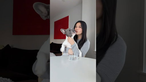 pov: I’m making u a coffee but u called my dog ug*y 😒