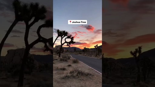 13 spots to add to your California itinerary 🚙