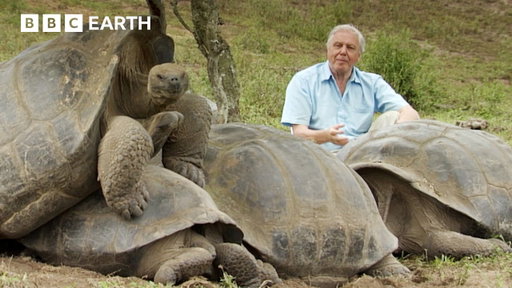 The Secret Lives Of Cold-Blooded Animals | BBC Earth | BBC Studios