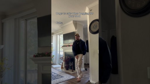 Dogs vs cats when begging for your food. #shorts #skit #funny