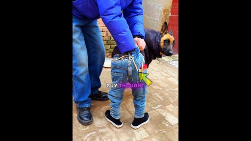 This Dog’s Walking Style Is Something Else 😂😱/#ytshorts #shorts #animals