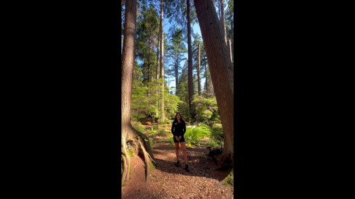 Welcome to Talking Trees