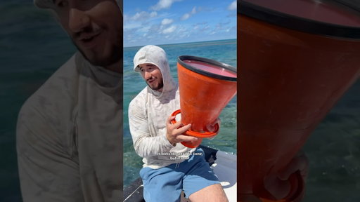 Coral Trout Catch n Cook at the Great Barrier Reef