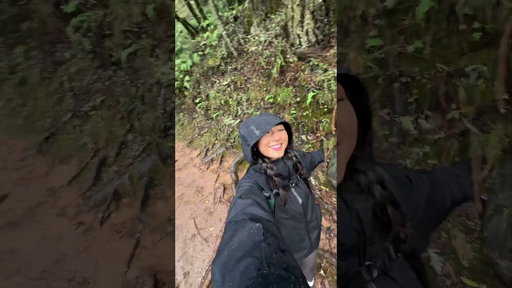 Rainy Day in Muir Woods