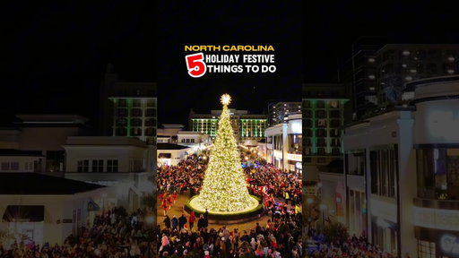 🗣️ Send this one to a GRINCH! #explorepage #northcarolina #visitnc #christmas
