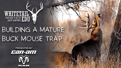 How to Get More Mature Bucks in Bow Range | Whitetail EDU with Mark Kenyon