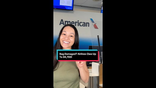 Damaged baggage? Know your rights! 💼💥 #TravelHacks #KnowYourRights #ErikaKullberg #shorts