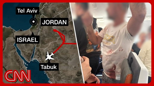 Aviation experts react to hijack attempt on Israel-bound flight