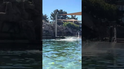 Free throws in our free time!📍SeaWorld San Diego