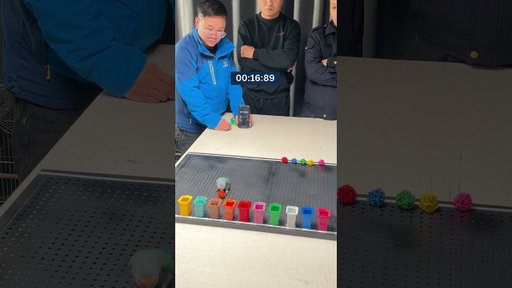 This parrot can identify 10 colours! 🦜