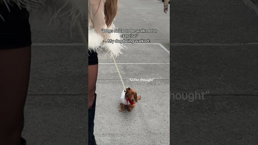 She decides when she wants to walk and I follow her rules