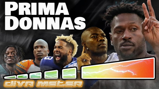 The 5 levels of Diva Wide Receiver