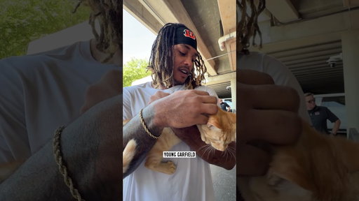“Dog meet dawg.”