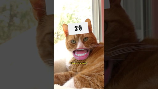 Guess The Number Challenge